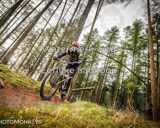 Drenthe 200 Extreme Marathon photo