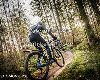 Drenthe 200 Extreme Marathon photo