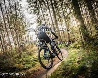 Drenthe 200 Extreme Marathon photo