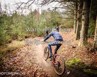 Drenthe 200 Extreme Marathon photo