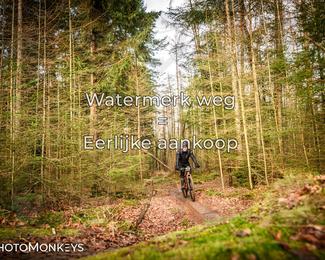 Drenthe 200 Extreme Marathon photo