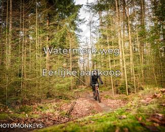 Drenthe 200 Extreme Marathon photo