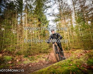 Drenthe 200 Extreme Marathon photo