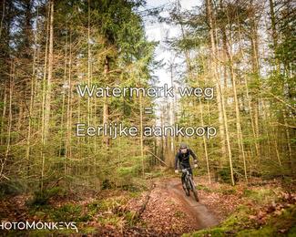 Drenthe 200 Extreme Marathon photo