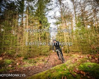 Drenthe 200 Extreme Marathon photo