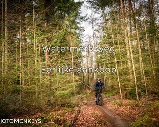 Drenthe 200 Extreme Marathon photo