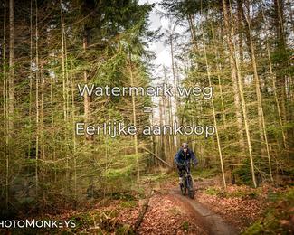 Drenthe 200 Extreme Marathon photo