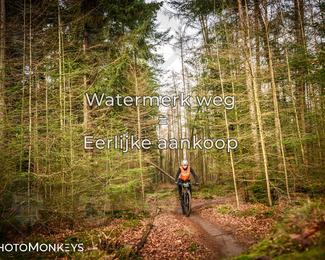 Drenthe 200 Extreme Marathon photo