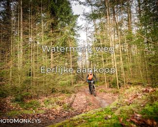 Drenthe 200 Extreme Marathon photo