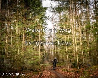 Drenthe 200 Extreme Marathon photo