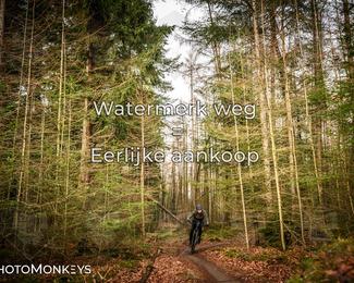 Drenthe 200 Extreme Marathon photo