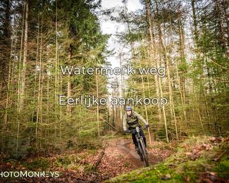 Drenthe 200 Extreme Marathon photo