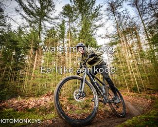 Drenthe 200 Extreme Marathon photo