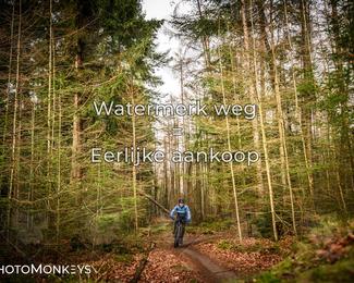 Drenthe 200 Extreme Marathon photo