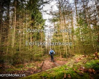 Drenthe 200 Extreme Marathon photo