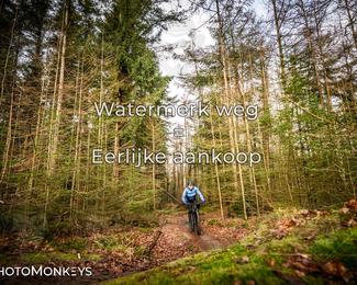 Drenthe 200 Extreme Marathon photo