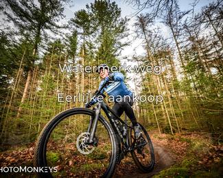 Drenthe 200 Extreme Marathon photo