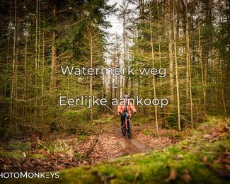 Drenthe 200 Extreme Marathon photo