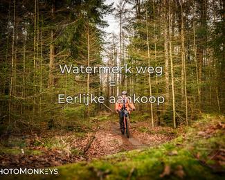 Drenthe 200 Extreme Marathon photo