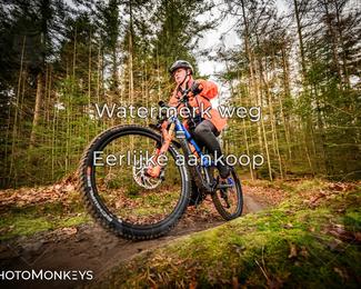 Drenthe 200 Extreme Marathon photo