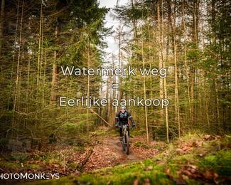 Drenthe 200 Extreme Marathon photo