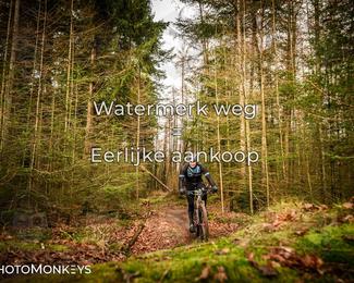 Drenthe 200 Extreme Marathon photo