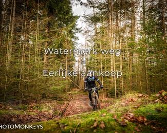 Drenthe 200 Extreme Marathon photo