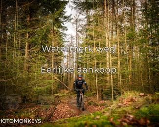 Drenthe 200 Extreme Marathon photo