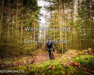 Drenthe 200 Extreme Marathon photo