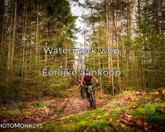 Drenthe 200 Extreme Marathon photo