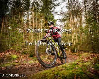 Drenthe 200 Extreme Marathon photo