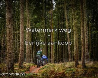 Drenthe 200 Extreme Marathon photo