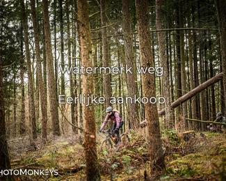 Drenthe 200 Extreme Marathon photo