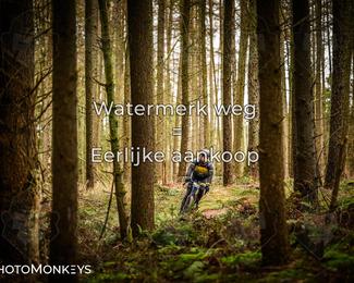 Drenthe 200 Extreme Marathon photo