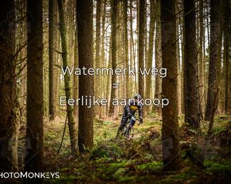 Drenthe 200 Extreme Marathon photo