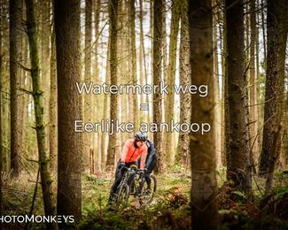 Drenthe 200 Extreme Marathon photo