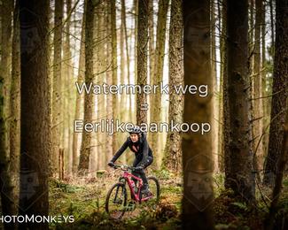 Drenthe 200 Extreme Marathon photo