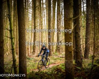 Drenthe 200 Extreme Marathon photo