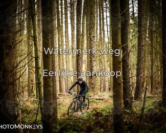 Drenthe 200 Extreme Marathon photo