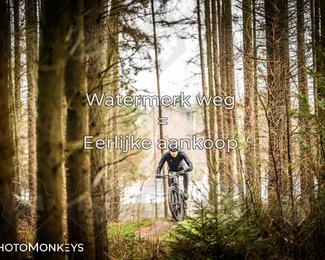 Drenthe 200 Extreme Marathon photo