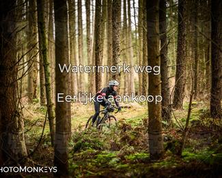 Drenthe 200 Extreme Marathon photo