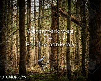 Drenthe 200 Extreme Marathon photo