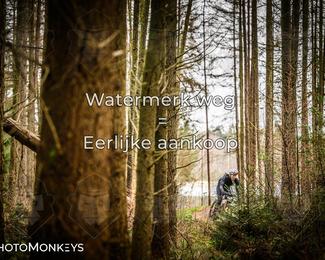 Drenthe 200 Extreme Marathon photo