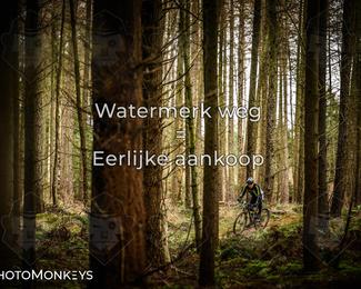 Drenthe 200 Extreme Marathon photo