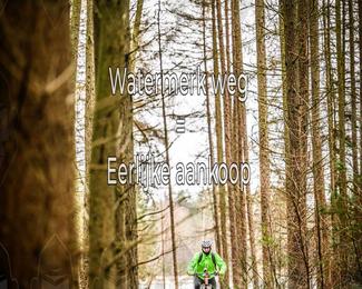 Drenthe 200 Extreme Marathon photo