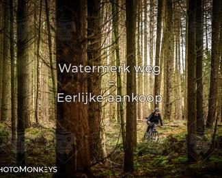 Drenthe 200 Extreme Marathon photo