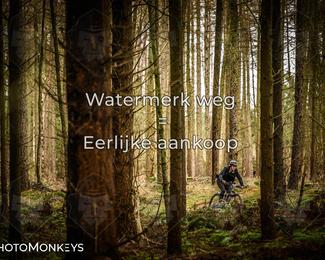 Drenthe 200 Extreme Marathon photo