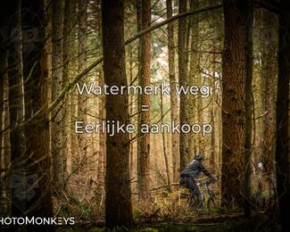 Drenthe 200 Extreme Marathon photo