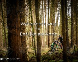 Drenthe 200 Extreme Marathon photo