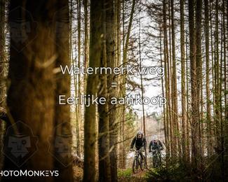 Drenthe 200 Extreme Marathon photo